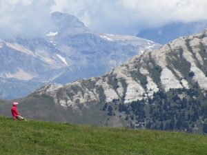 IMG_0905