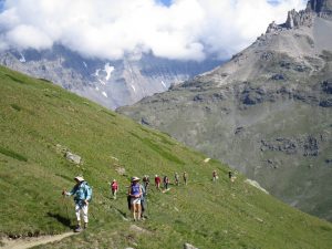 IMG_0929