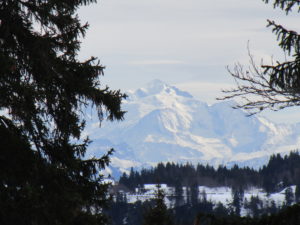 IMG_4279