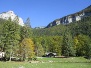 IMG_5631